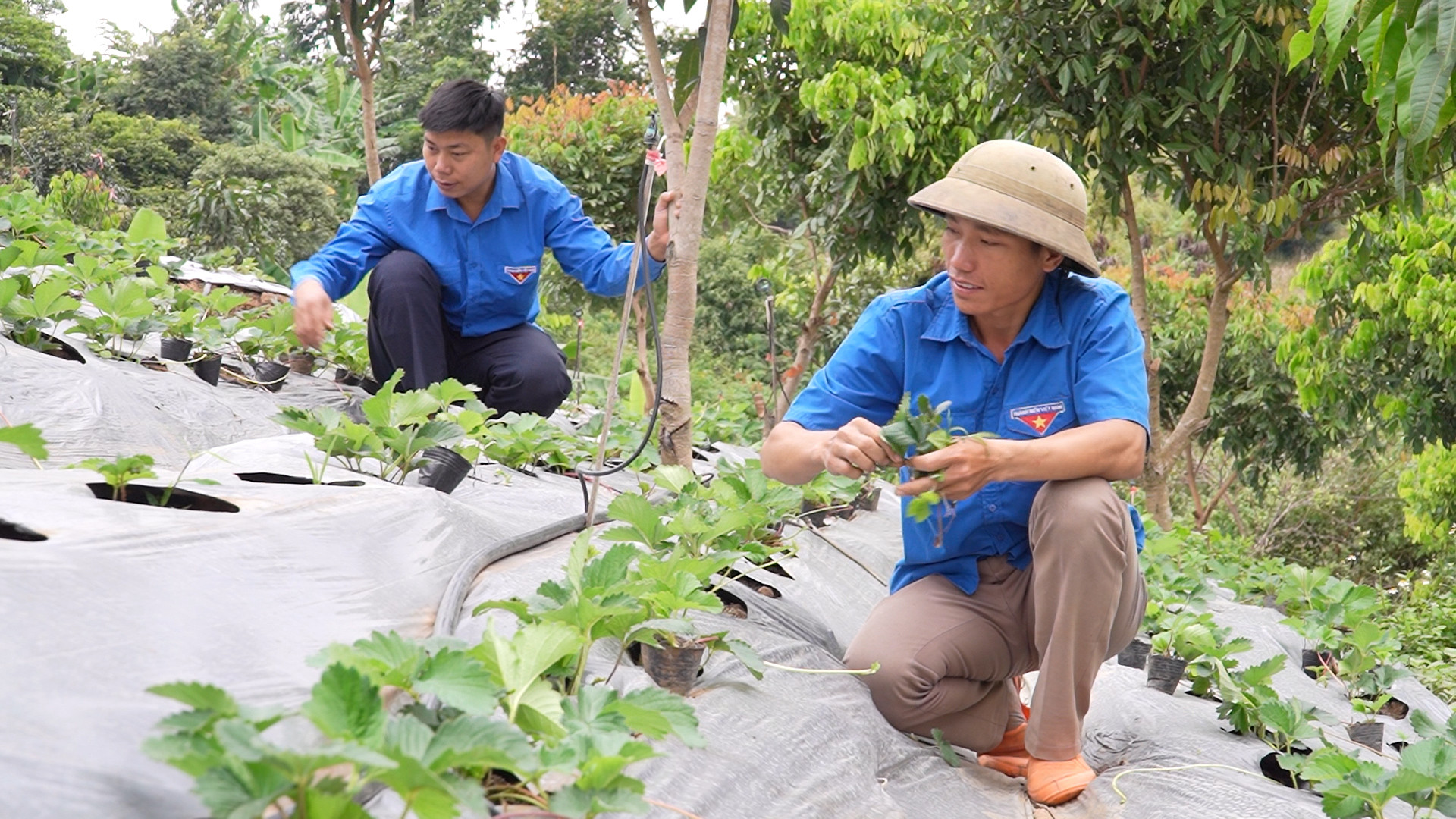 thông tin cơ sở.jpg