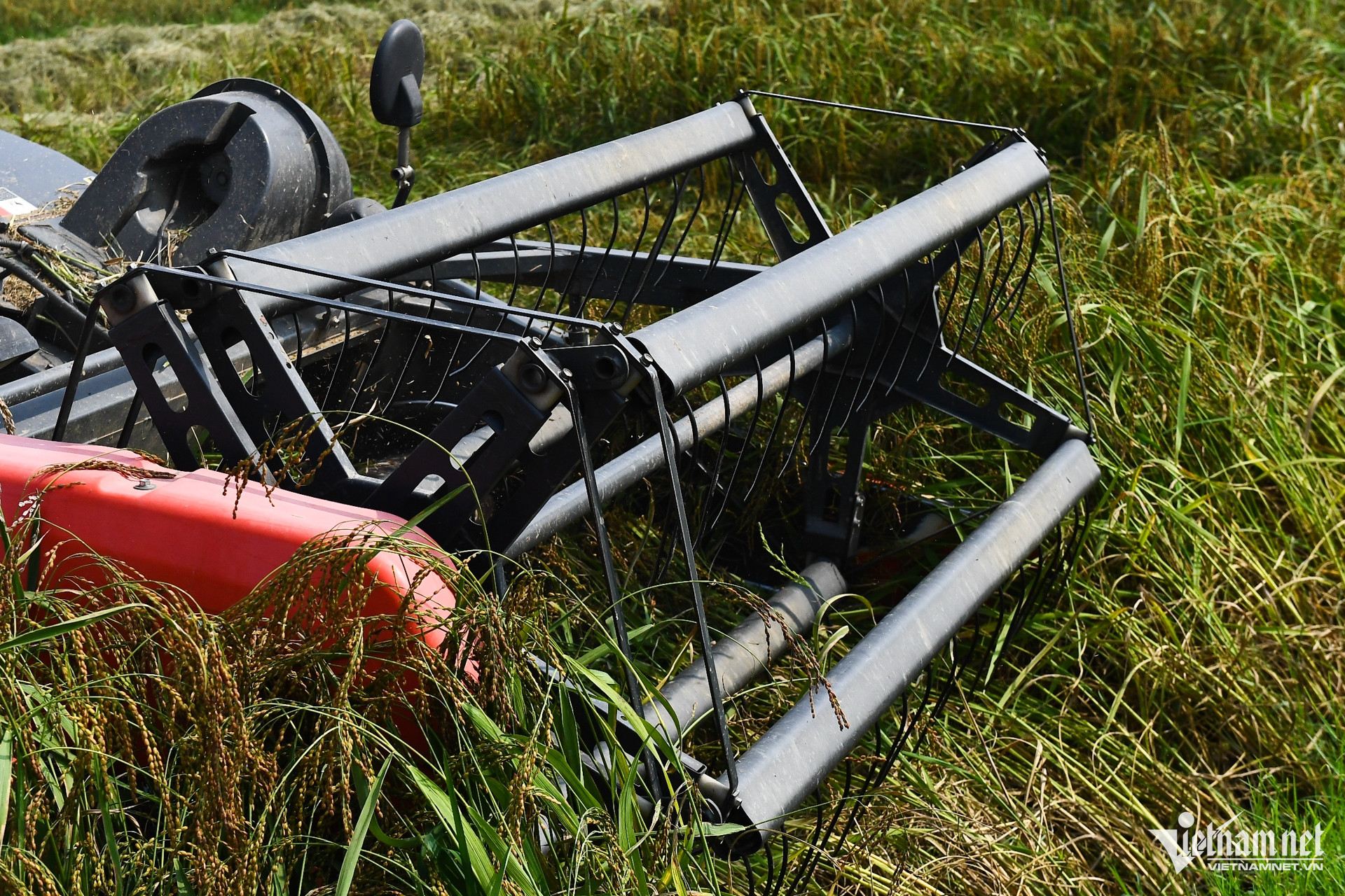 W-chuong trinh muc tieu quoc gia Phu Tho 15.jpg