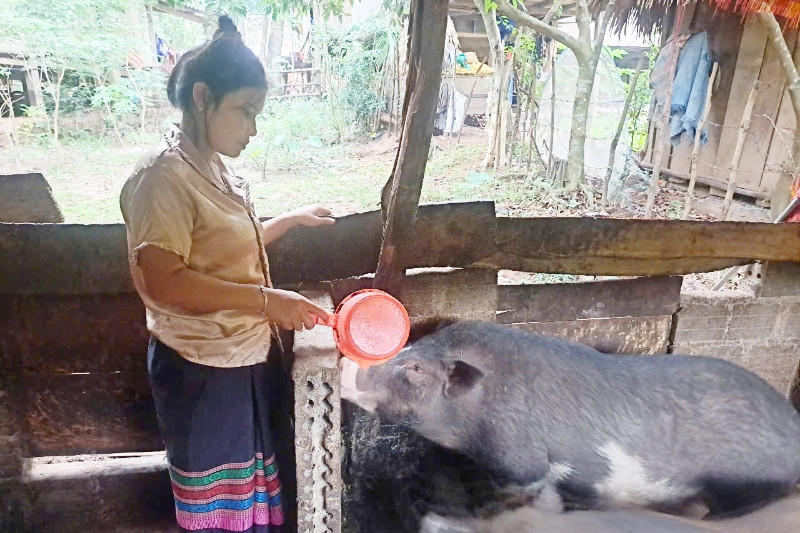 Hội phụ nữ tuyên truyền giúp phụ nữ dân tộc thiểu số giảm nghèo bền vững