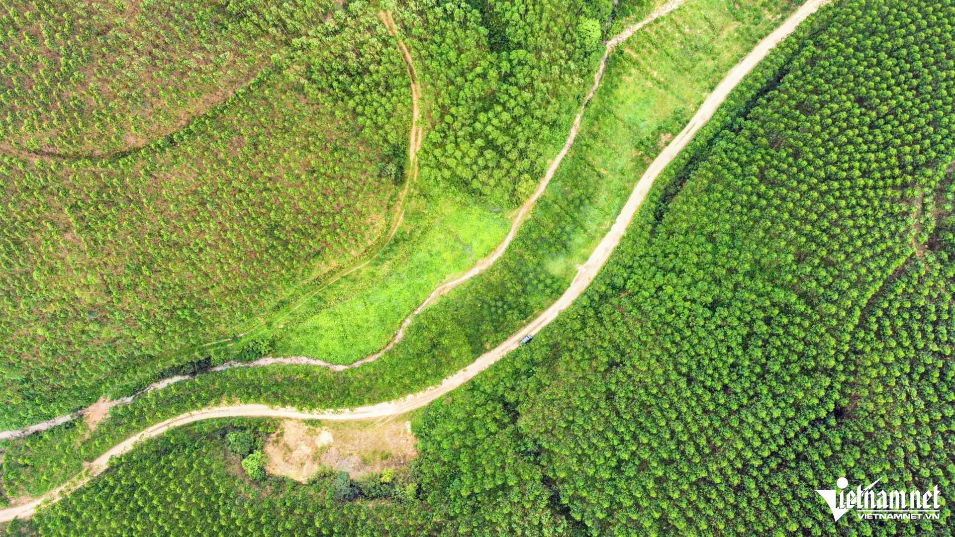 W-liên kết vùng trồng rừng_4.JPG.jpg