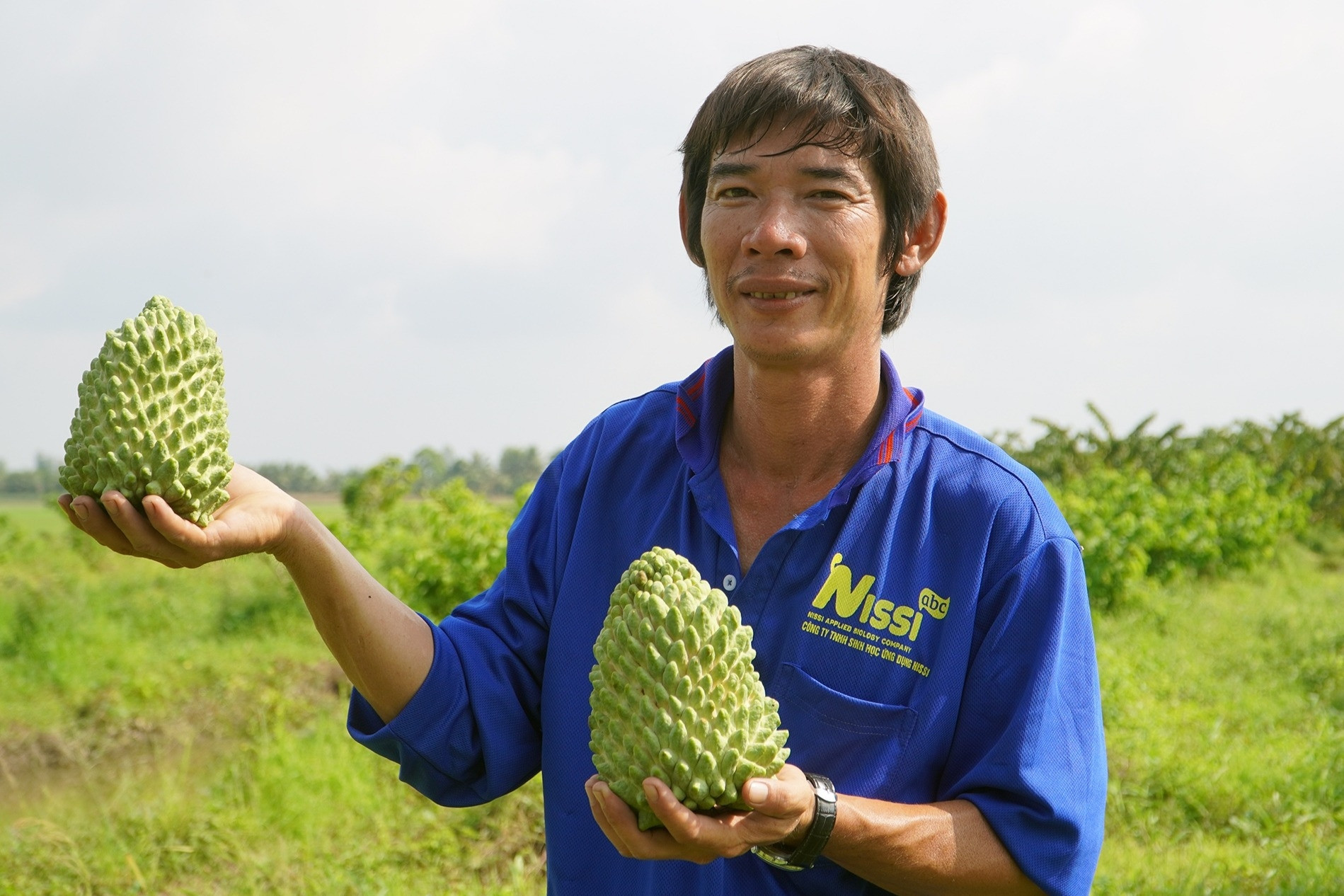 Anh trai Cần Thơ phát tài nhờ vườn ‘na sầu riêng’, trái to, ăn ngọt thanh