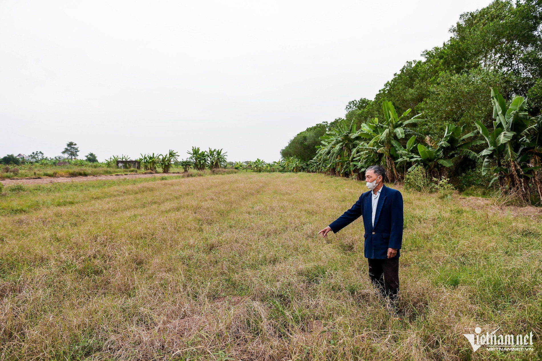 W-Trại lợn_7.jpg