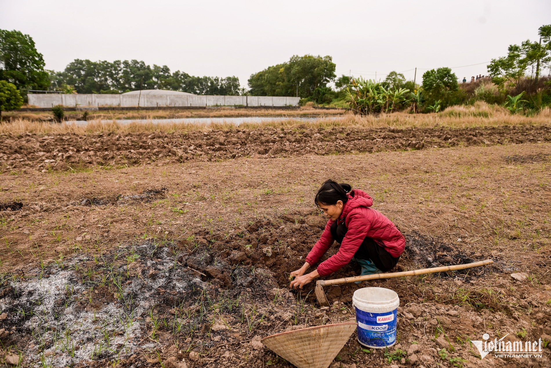 W-Trại lợn_8.jpg