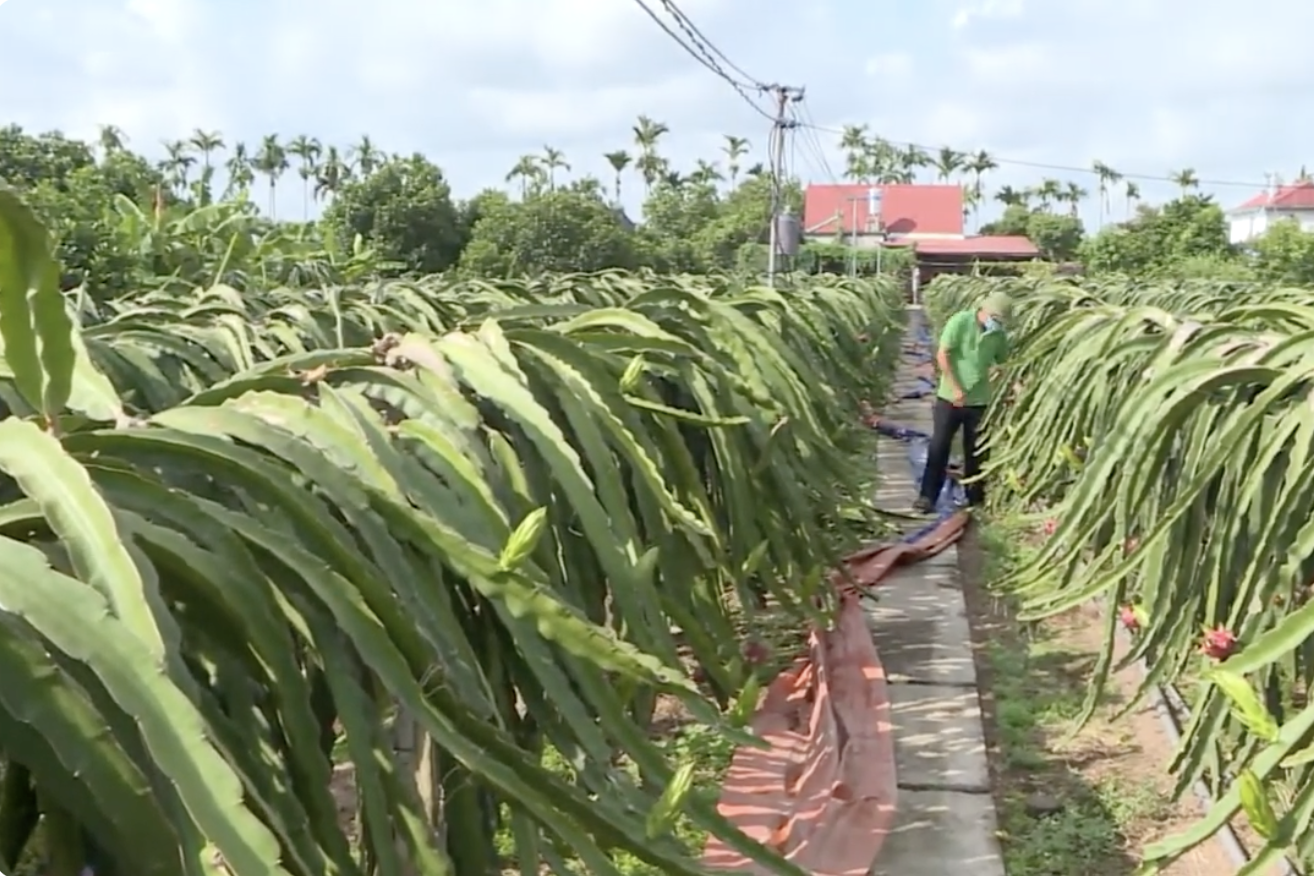 Bộ mặt nông thôn Bát Trang đổi mới từng ngày