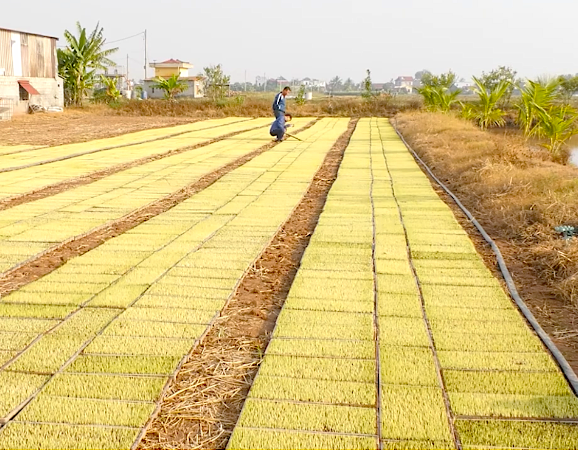 Xây dựng NTM kiểu mẫu để tạo sự bứt phá toàn diện trong lĩnh vực “tam nông”