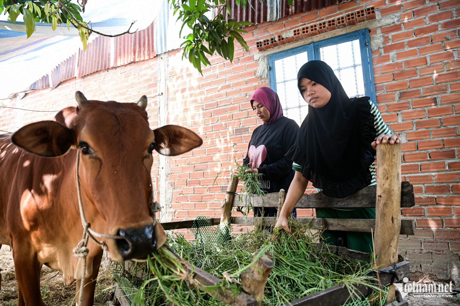 W-Tây Ninh, Chăm 17.jpg