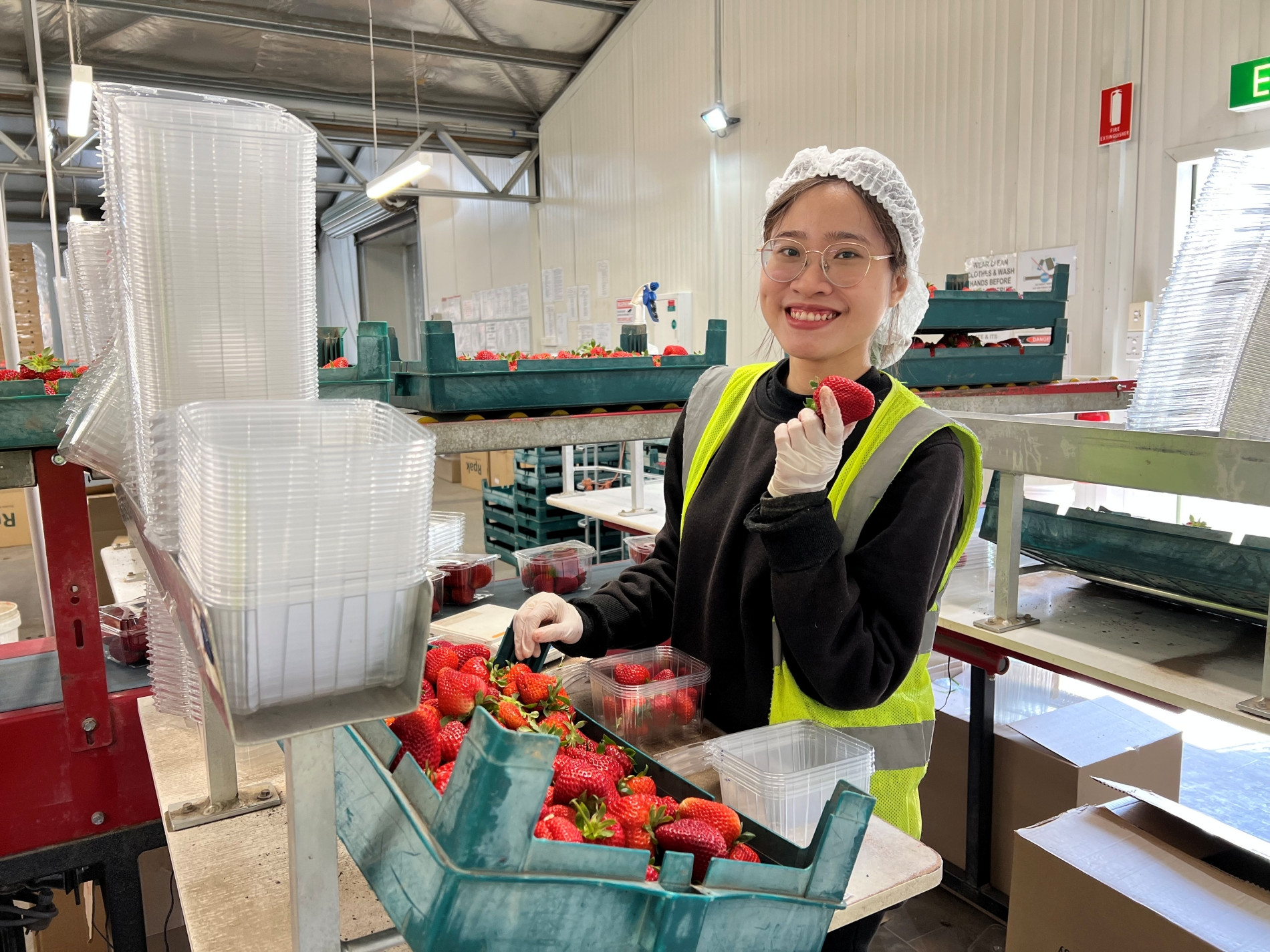 ảnh 4   làm nông ở Úc.jpeg