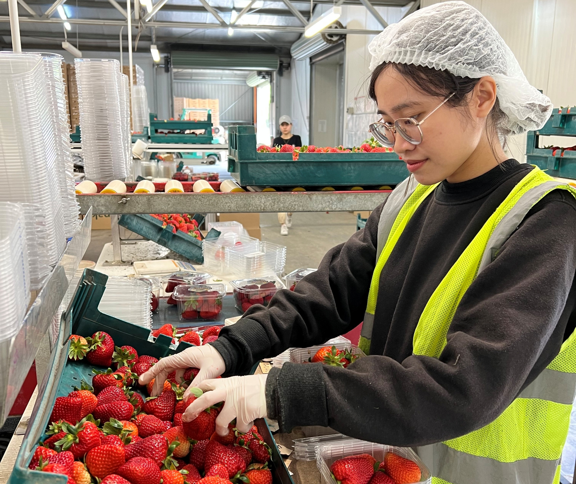 ảnh 5   làm nông ở Úc.jpeg