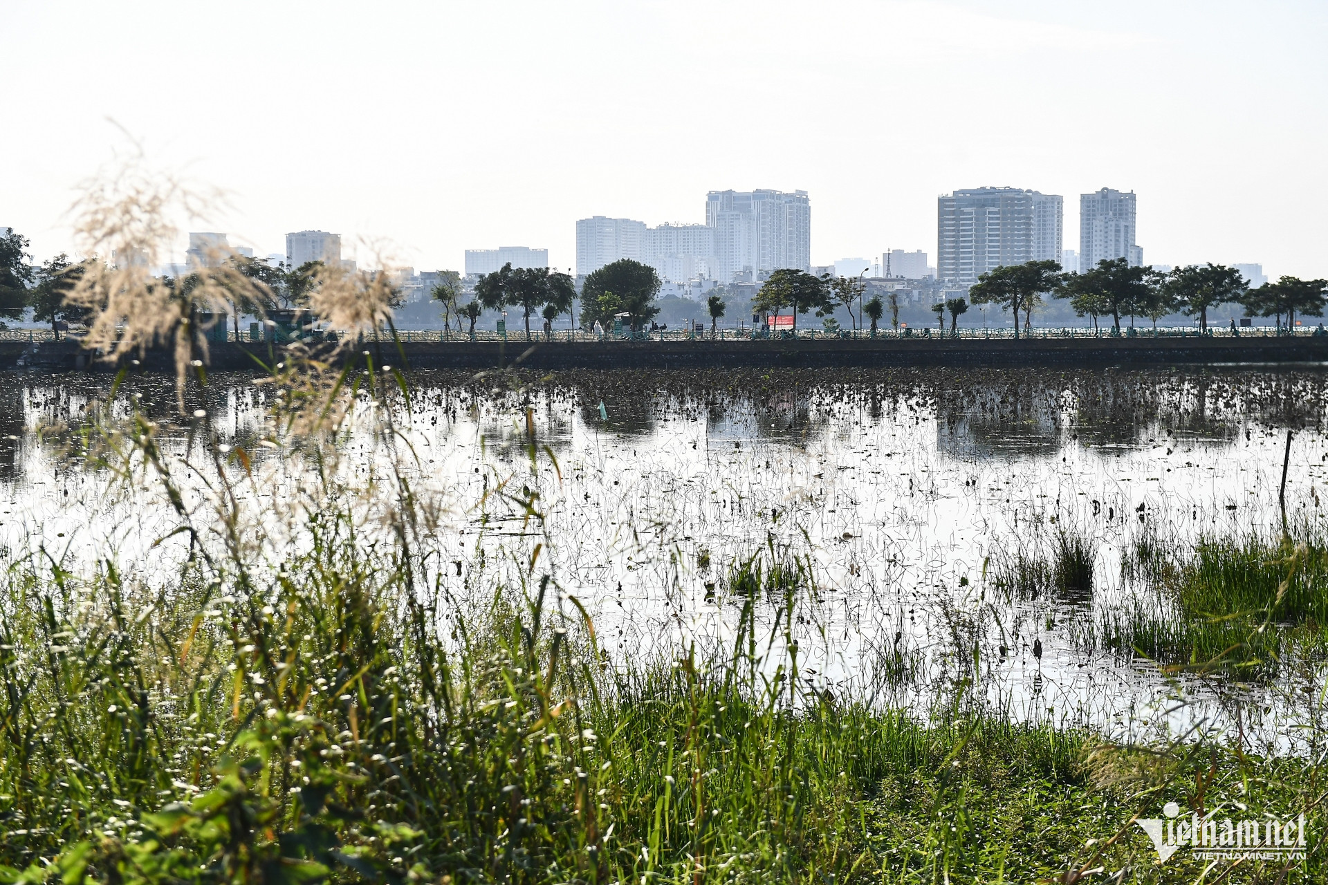 W-nha hat ho tay 18.jpg