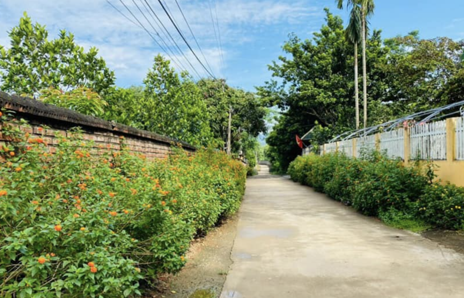 Ảnh chụp Màn hình 2024 10 31 lúc 11.26.17.png