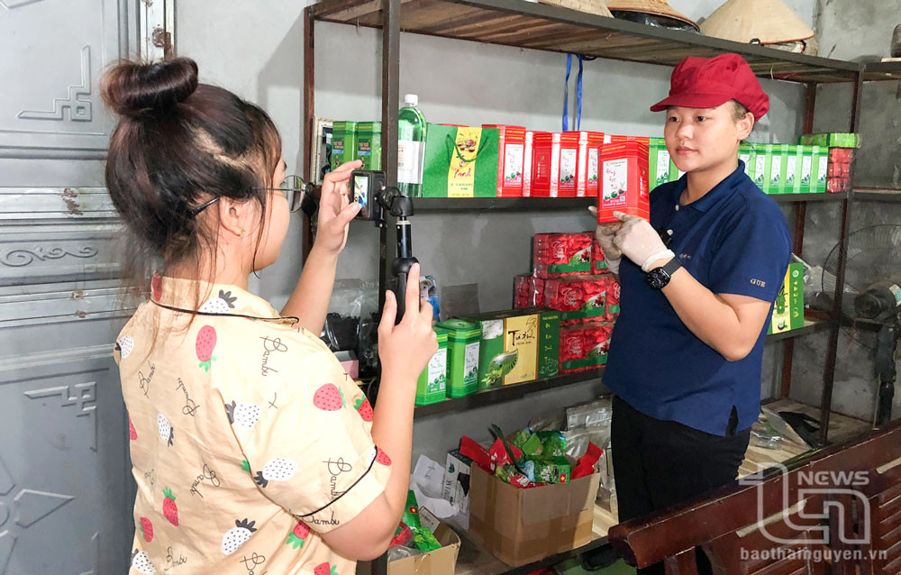 Nhân viên Hợp tác xã sản xuất chè hữu cơ Trà Giang, ở xã Phúc Tân (TP. Phổ Yên), quay video giới thiệu, chào bán sản phẩm trên các nền tảng thương mại điện tử và mạng xã hội.