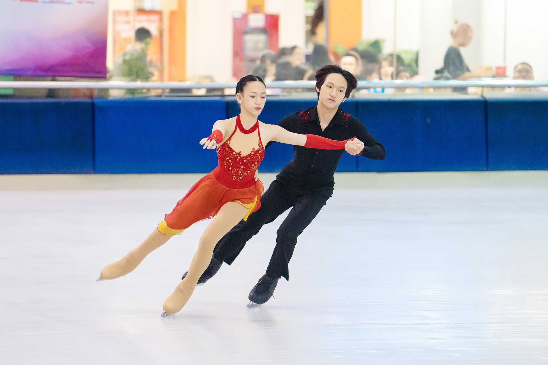 linh chi truot bang 1.jpg