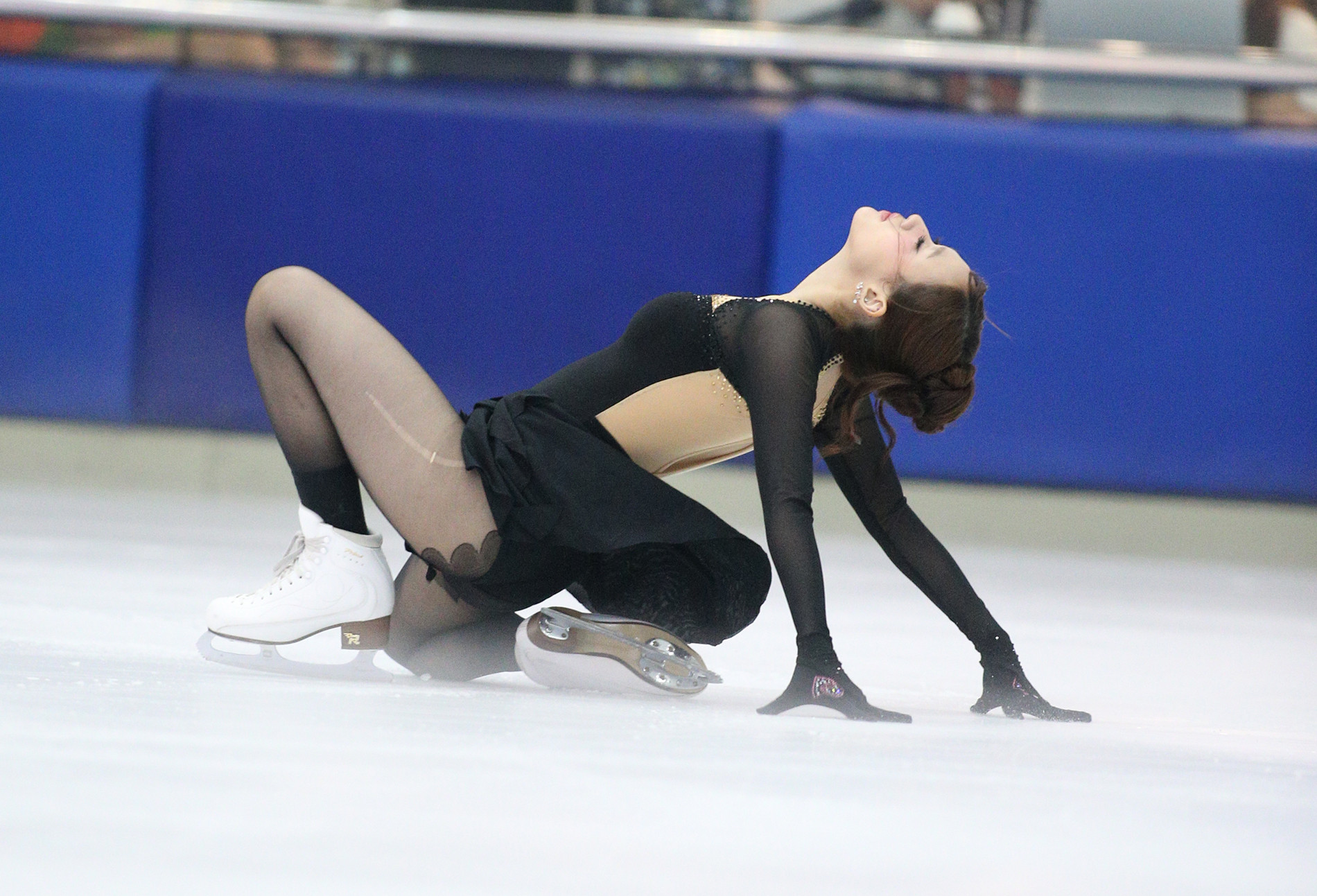 linh chi truot bang 6.JPG