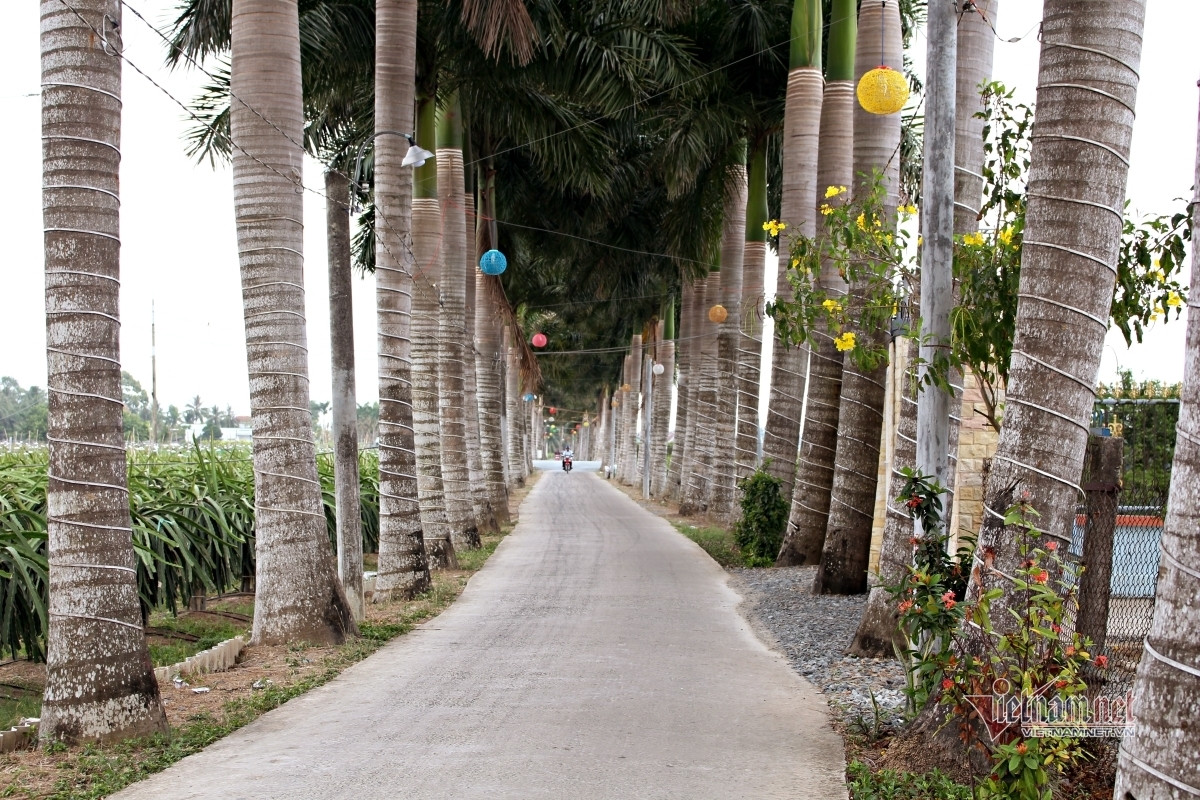 tân trụ long an.jpeg