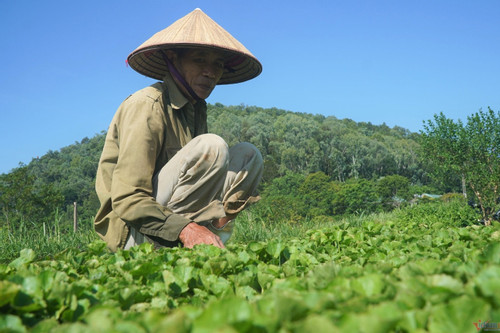 Thanh Hoá đưa chính sách giảm nghèo vào cuộc sống