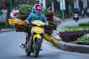 Dự báo thời tiết 5/11/2024: Không khí lạnh tăng cường, miền Bắc mưa rét