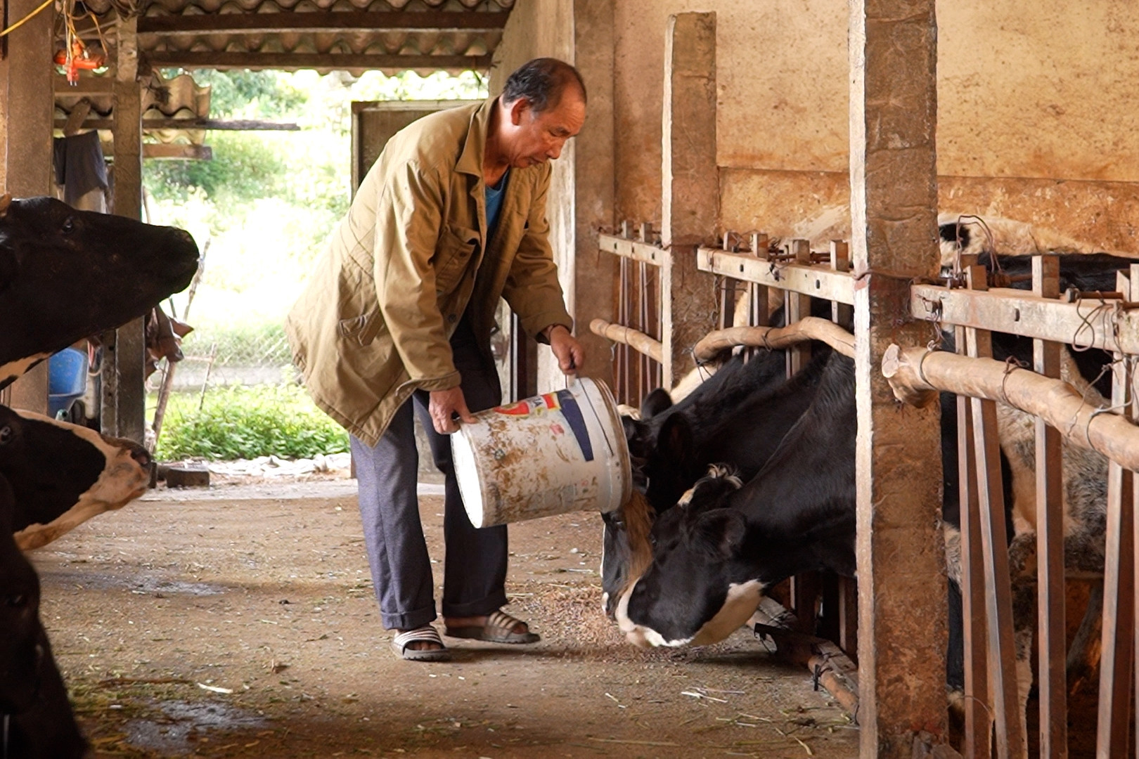 Đa dạng hóa sinh kế cho đồng bào dân tộc thiểu số ở Mộc Châu