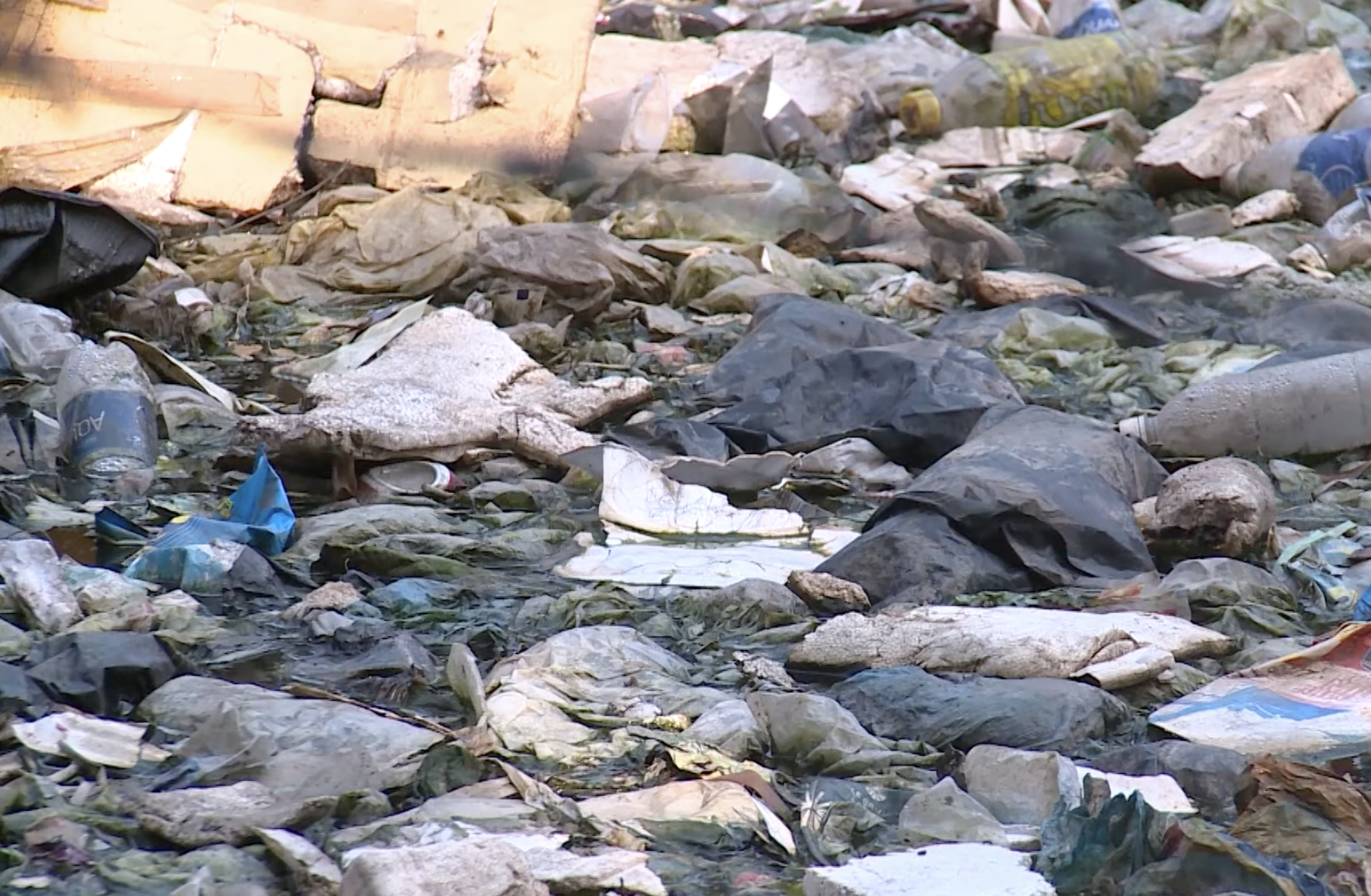 Chương trình NPAP đạt được một số kết quả khả quan