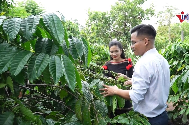 Sản phẩm cà phê của đồng bào DTTS Tây Nguyên “xuất ngoại”