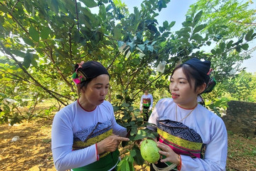 Thanh Hóa: “Cú hích” cho sự phát triển ở những bản làng vùng đồng bào DTTS và MN