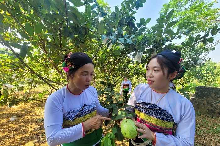 Thanh Hóa: “Cú hích” cho sự phát triển ở những bản làng vùng đồng bào DTTS và MN