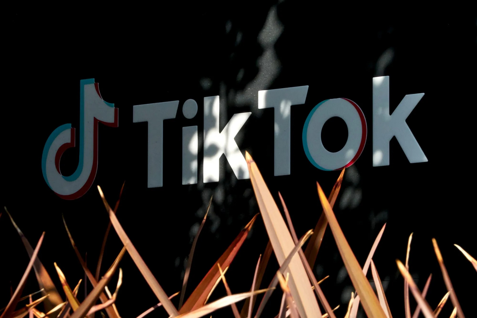 TikTok bị kiện tại Pháp vì nội dung độc hại