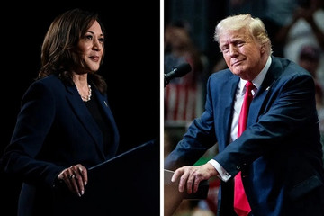 Tỷ lệ cược ông Trump chiến thắng tăng mạnh trước giờ bầu cử chính thức