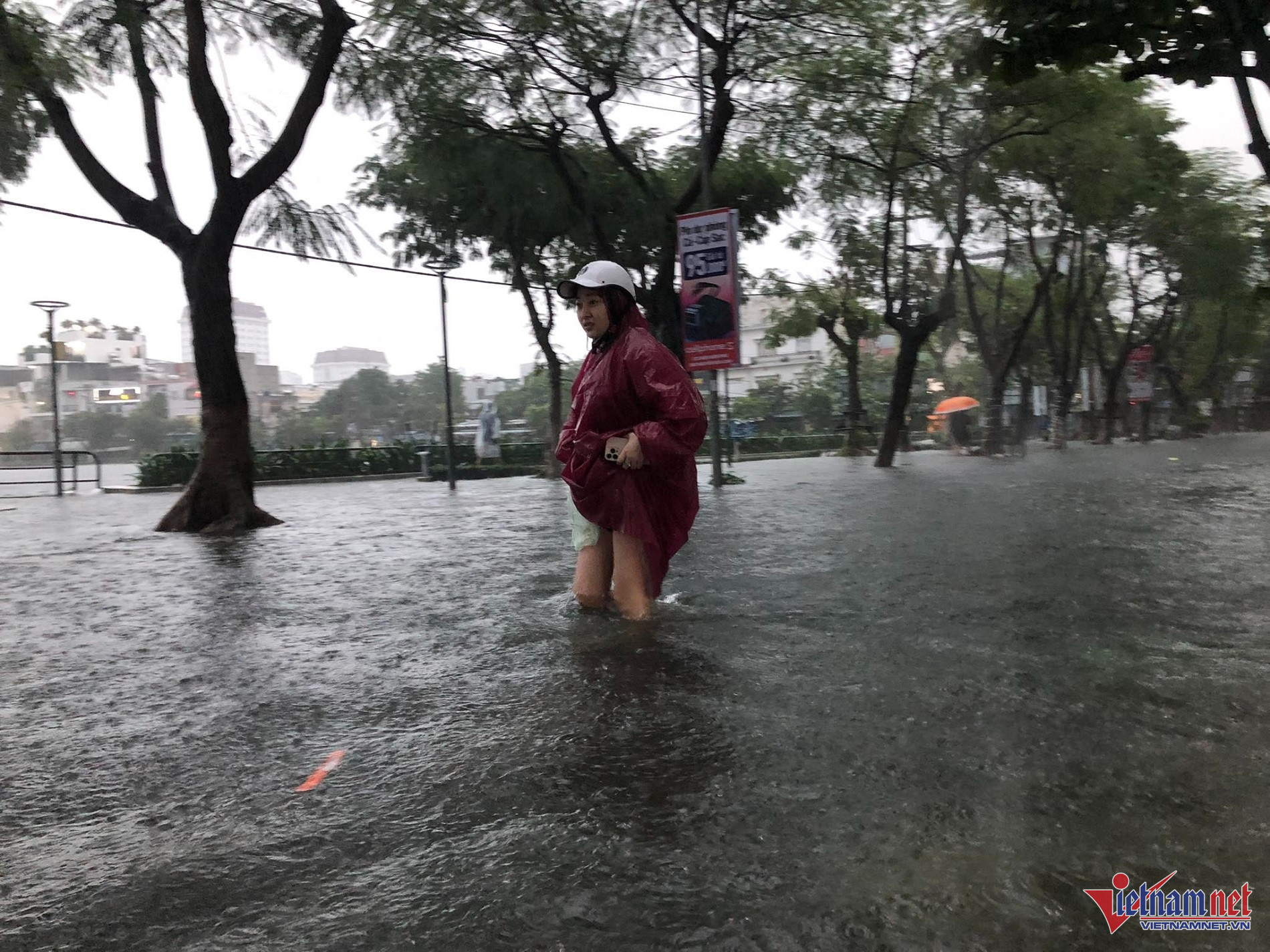 W-n.jpg
Đường Tô Ngọc Vân. Ảnh Diệu Thùy.jpg