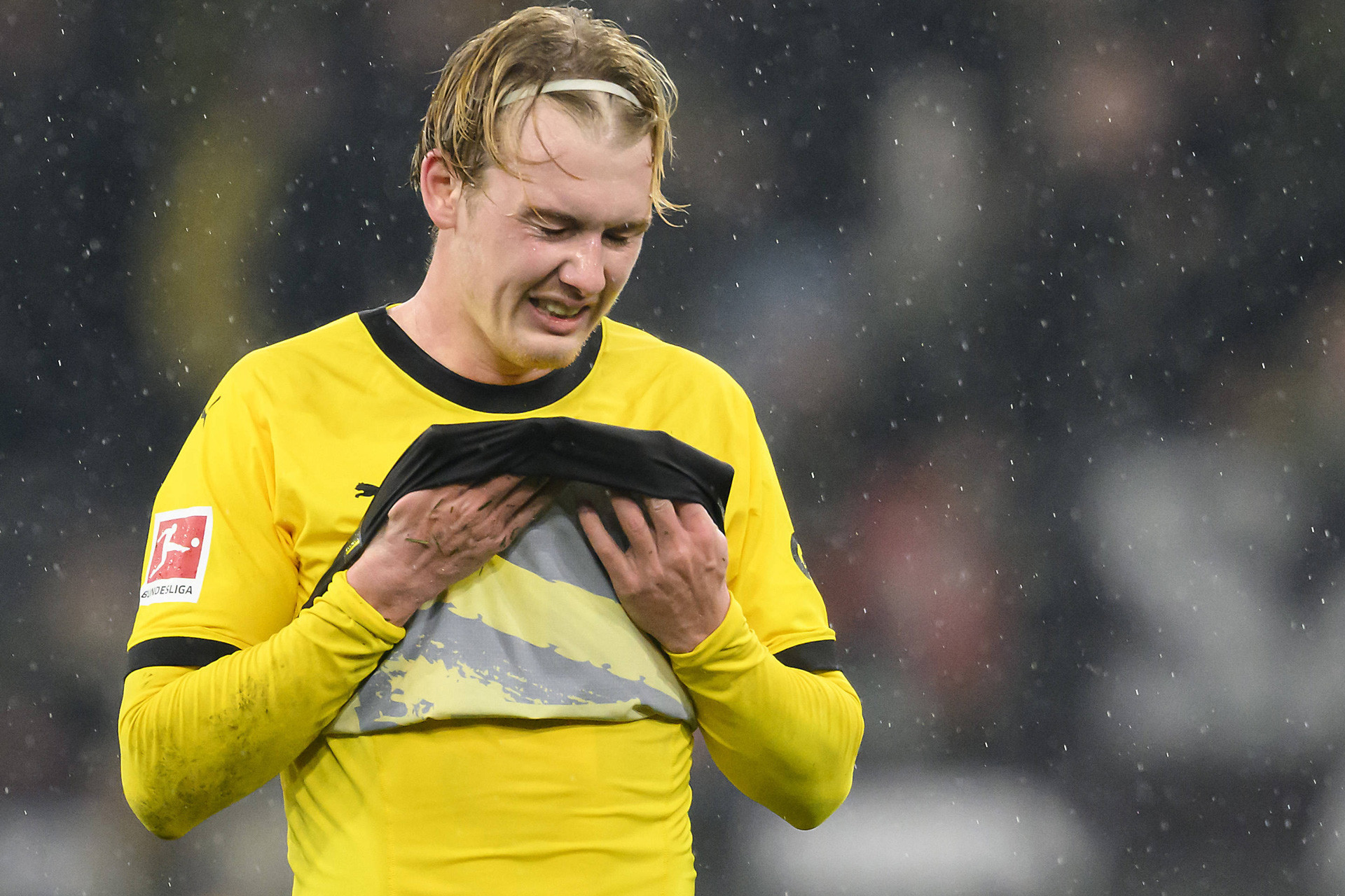 Julian Brandt. Imago