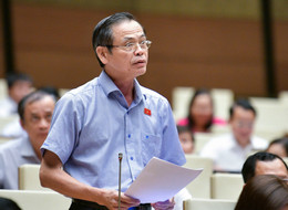 Cứ sơn tường, thay gạch… trăm triệu vẫn phải đấu giá