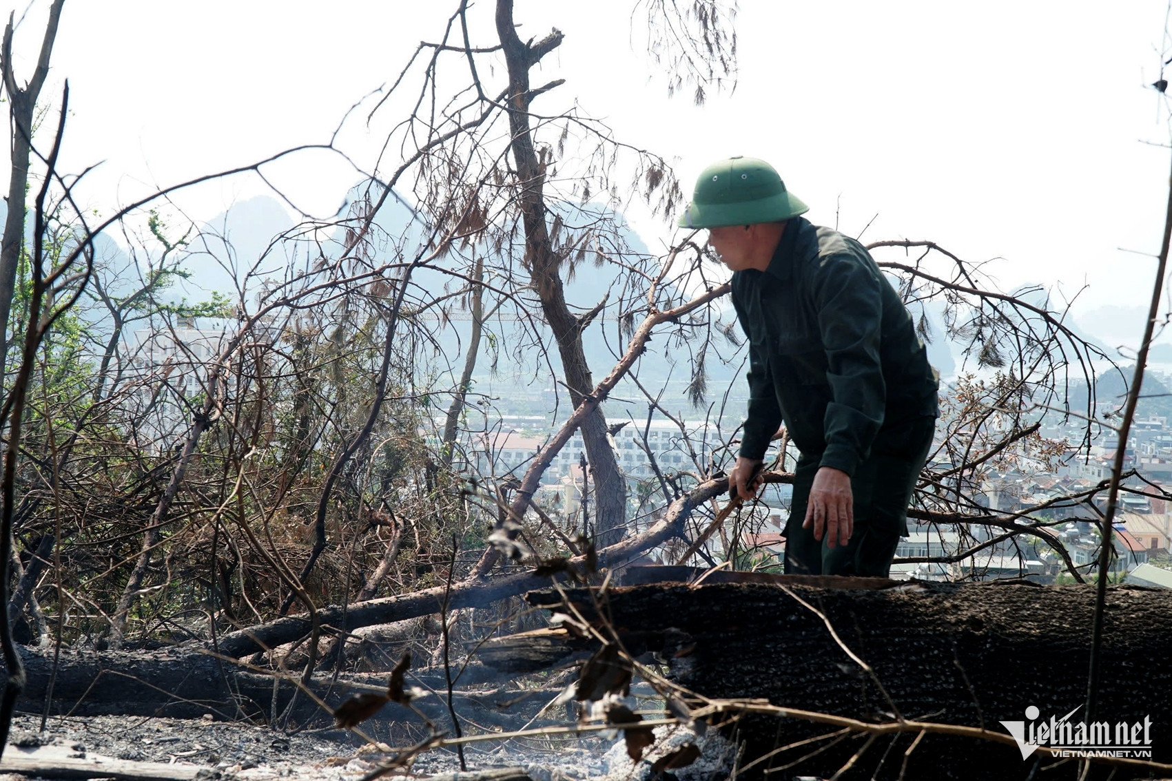 w 6b3ae246 20fe 430f 86ed fed1b7166760 16285.jpeg