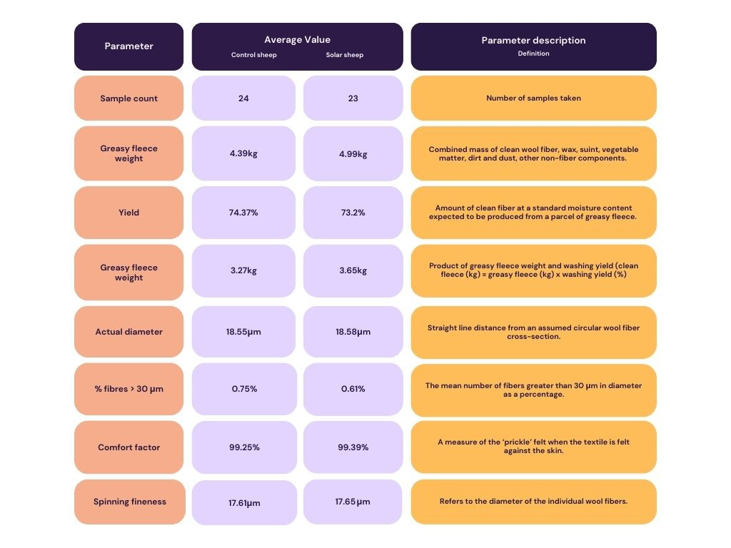 GLB Australia Wool table.jpeg