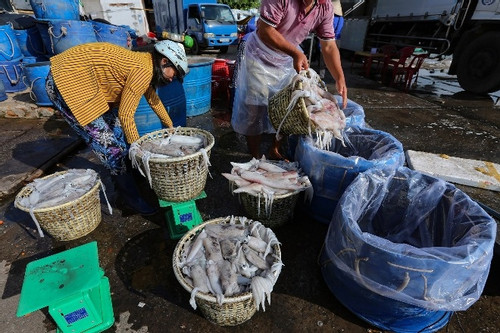 Phát triển thuỷ sản và du lịch biển, đưa Cần Giờ thành trung tâm kinh tế biển