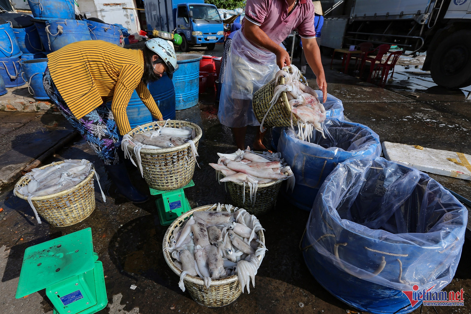 W-Cảng cá An Thới Phú Quốc, KIên Giang 3 used biển cần giờ.JPG.jpg