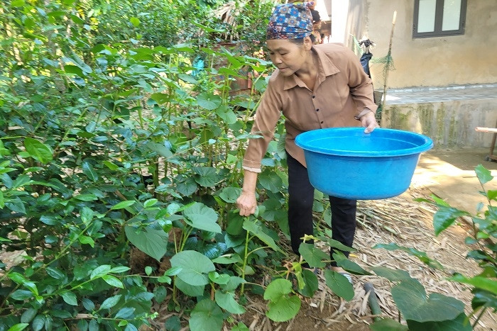 Thanh Hóa: Tạo sinh kế bền vững cho đồng bào dân tộc thiểu số