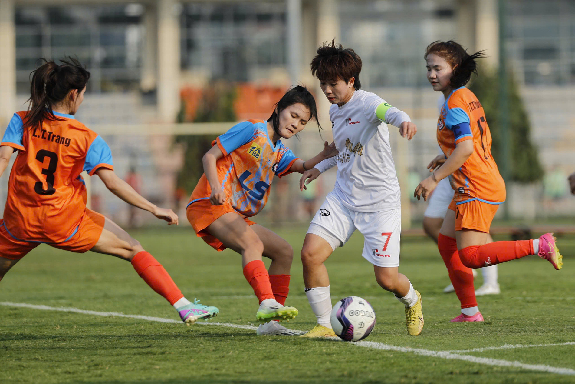 phong phu ha nam.jpg