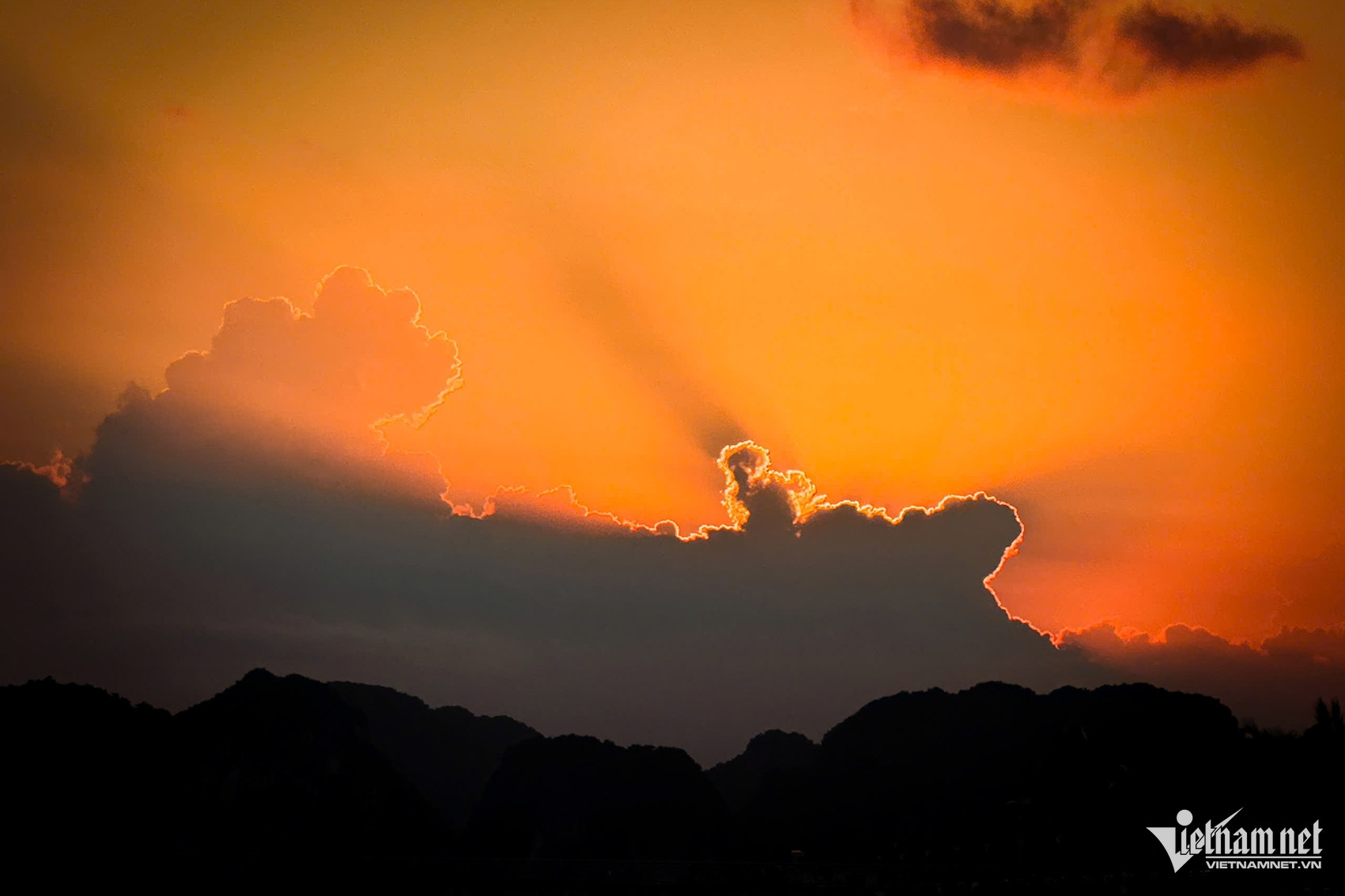 W-fad9d87c 0afb 406d 9f25 3a9d71bee13a.jpeg