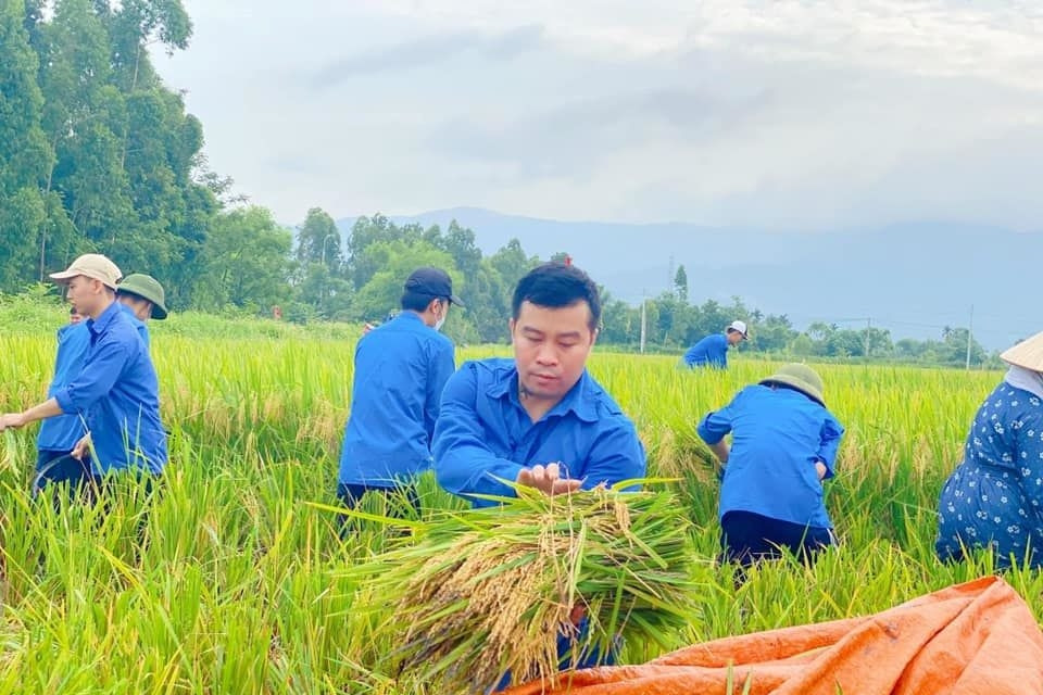 Bắc Giang vận động nông dân áp dụng canh tác lúa thân thiện với môi trường