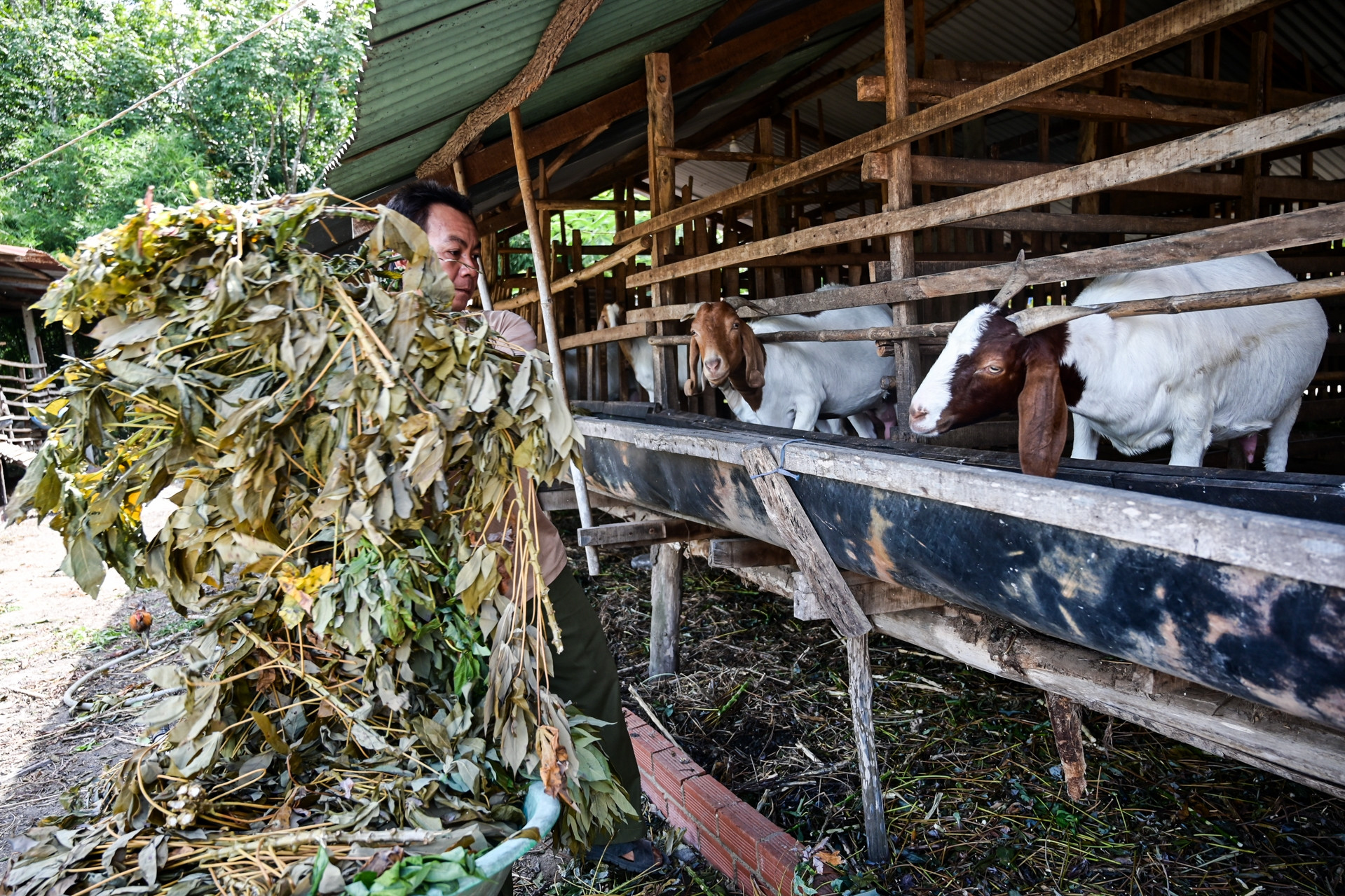 Đa dạng cách thức hỗ trợ giúp Thạnh Phú giảm hơn 300 hộ nghèo, cận nghèo