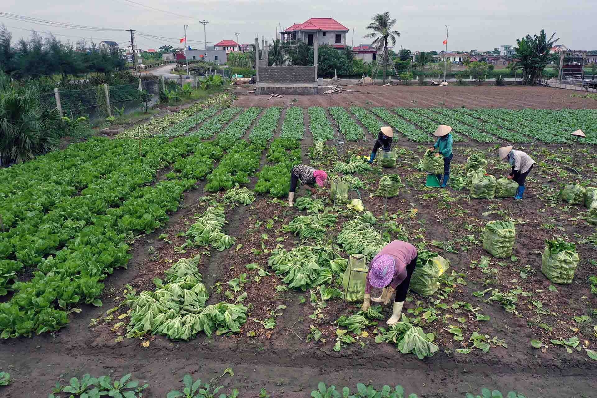 Tân Phước tăng cường hỗ trợ người nghèo toàn diện