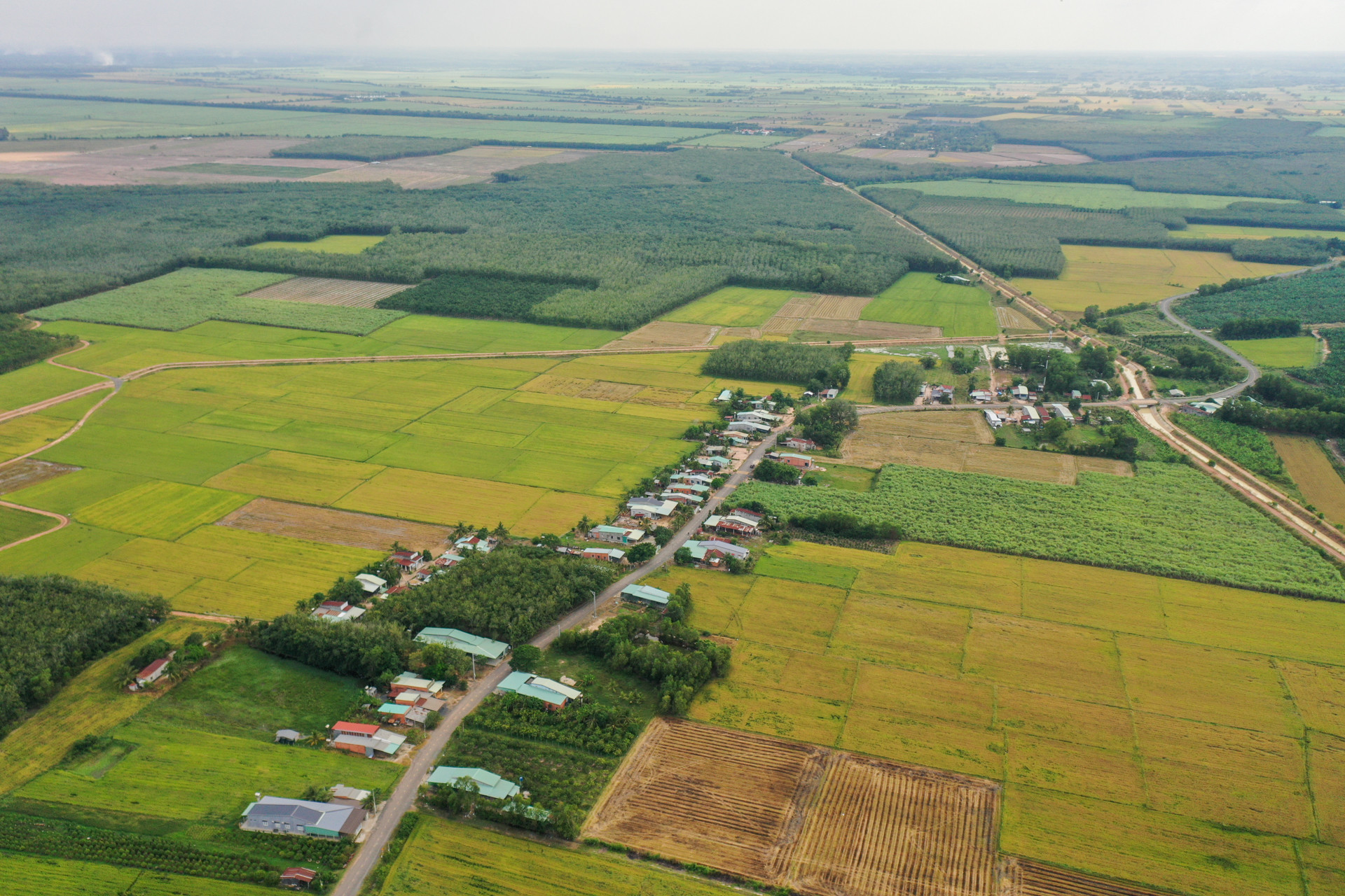 Hỗ trợ sinh kế phải dựa trên thực tế nhu cầu của hộ nghèo, cận nghèo