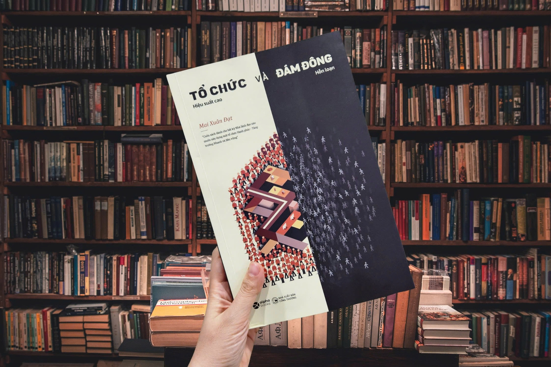 'Tổ chức và đám đông
