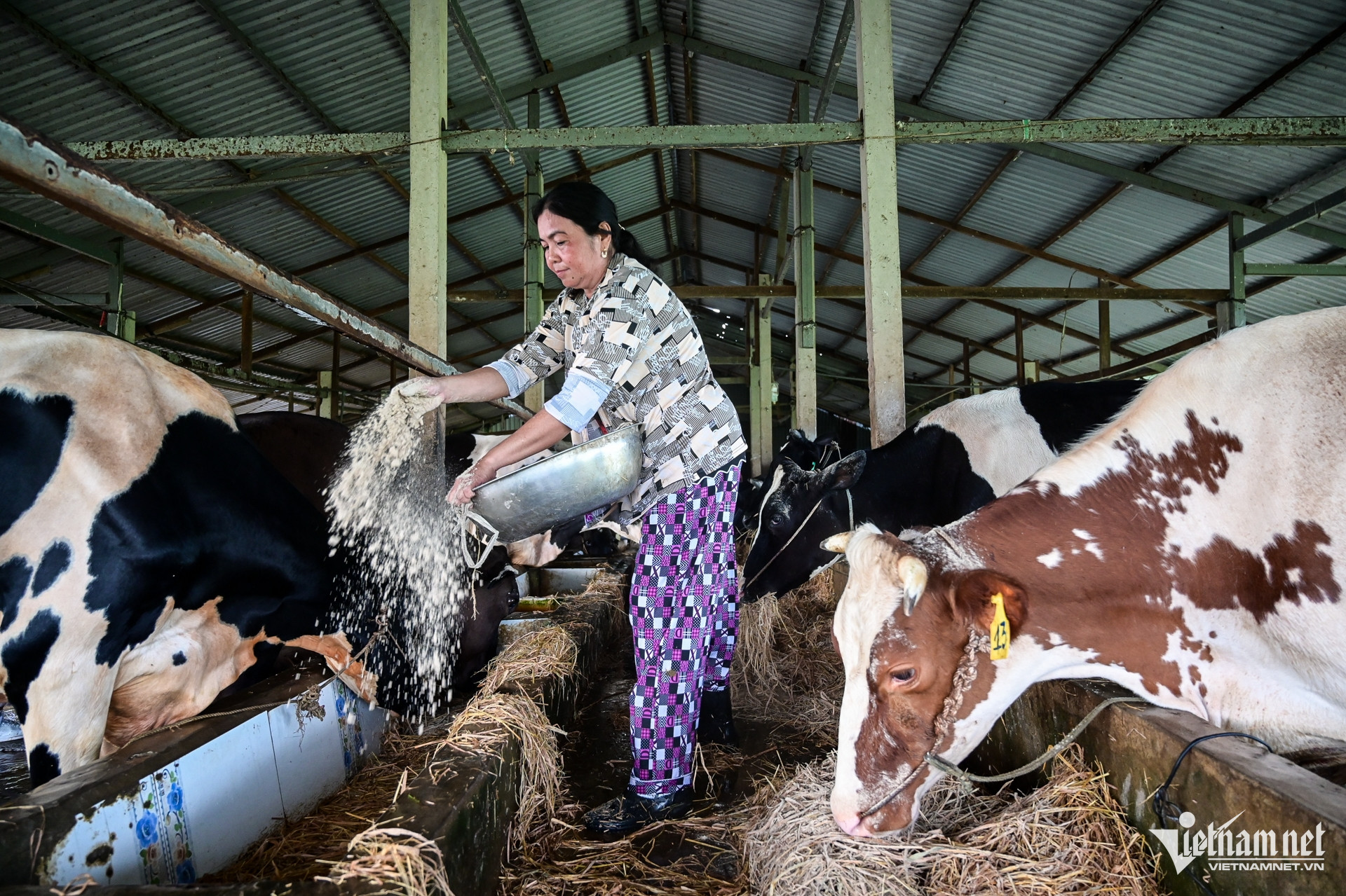 W-Sóc Trăng Nguyễn Huế 5 (1).jpg