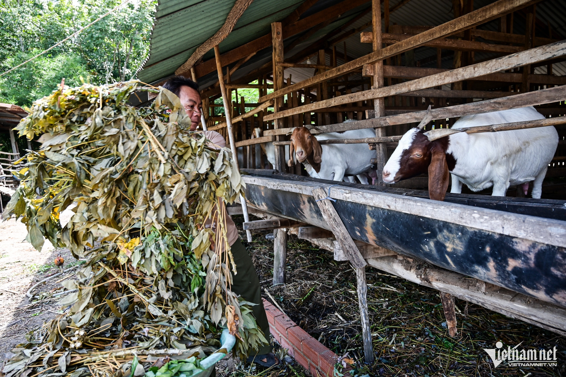 W-Tây Ninh Nguyễn Huế 10.jpg