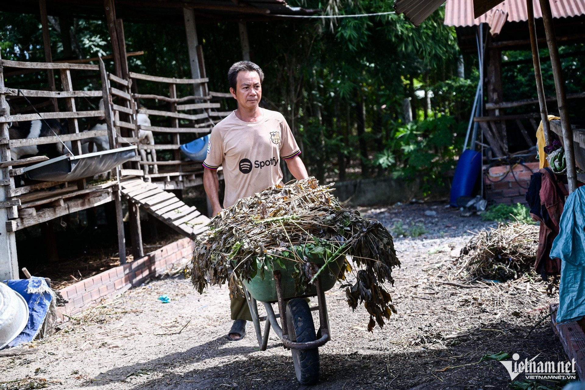 W-Tây Ninh Nguyễn Huế 5.jpg