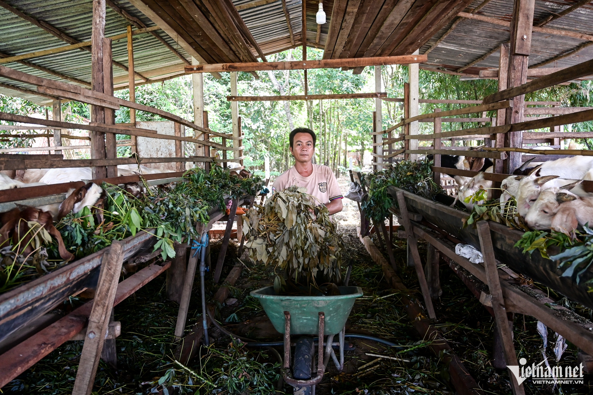 W-Tây Ninh   Nguyễn Huế 9.jpg