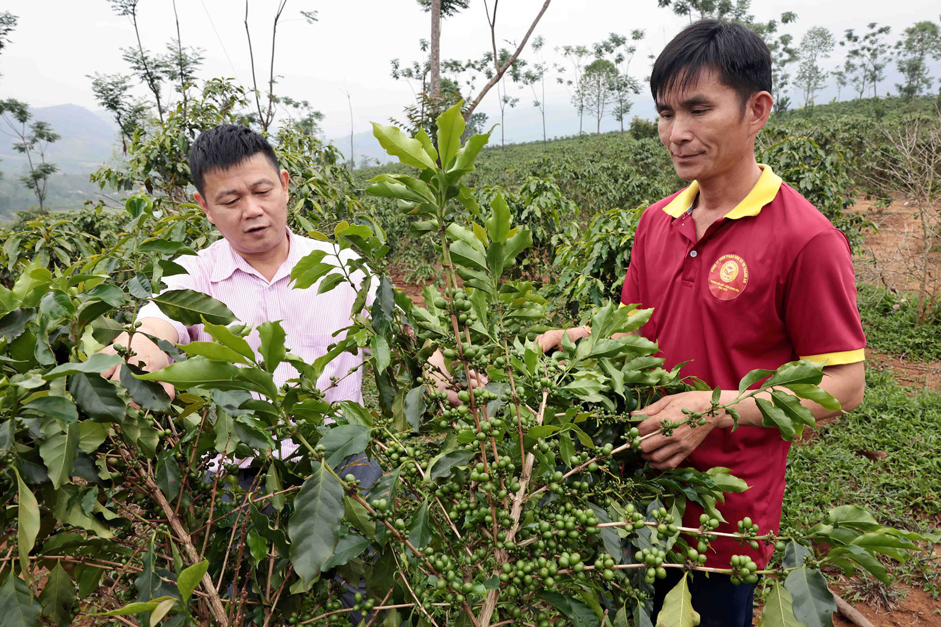 Phước Long hỗ trợ sinh kế, đào tạo nghề lao động nông thôn, giảm nghèo đa chiều