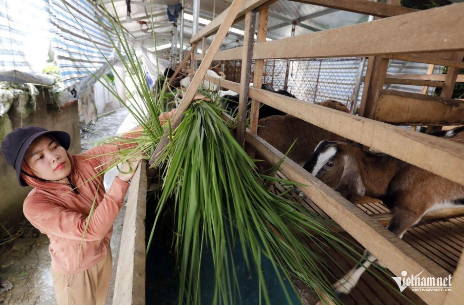 Hà Tĩnh giảm nghèo .jpeg