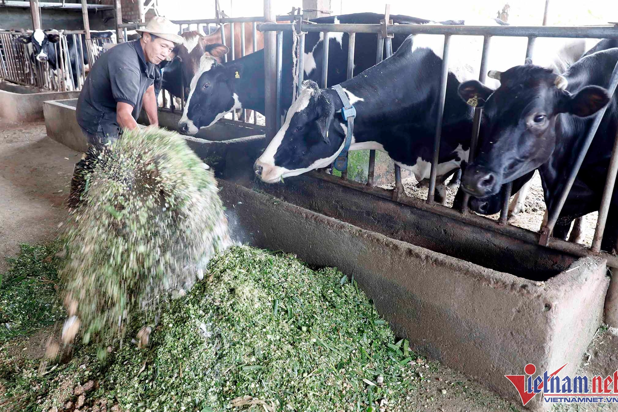 Tập trung các mô hình có tác dụng trực tiếp đến đời sống hộ nghèo