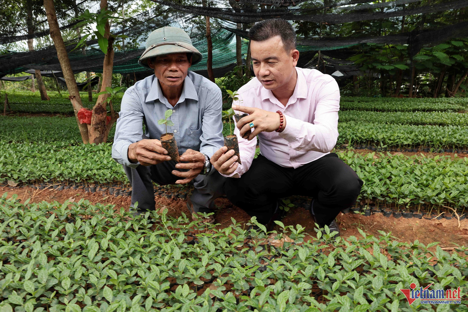 W-A12 cty lam ng song ma_2135.jpg